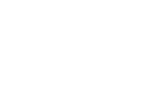 Minerva 1055 Dry Gin